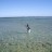 Coral poisoning spot! Coral poisoning spot!
